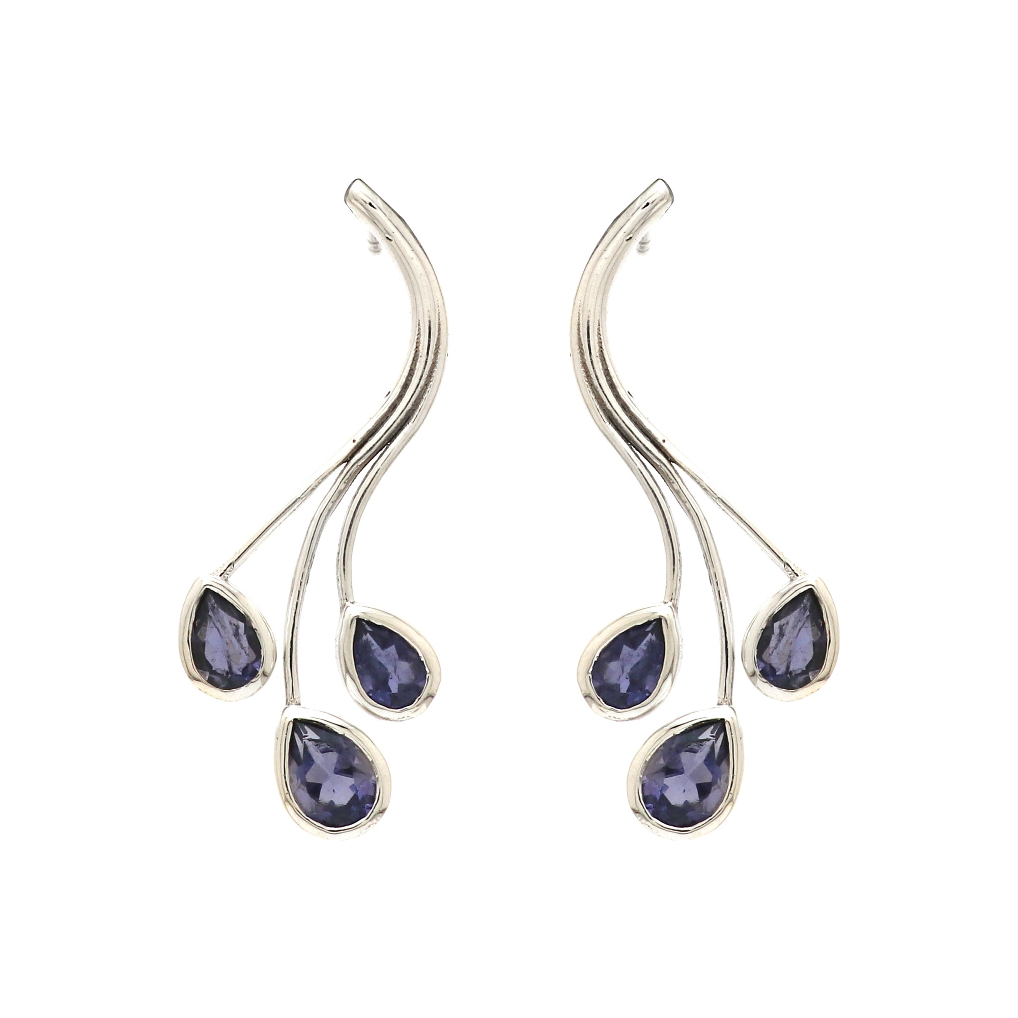Elegant Earring
