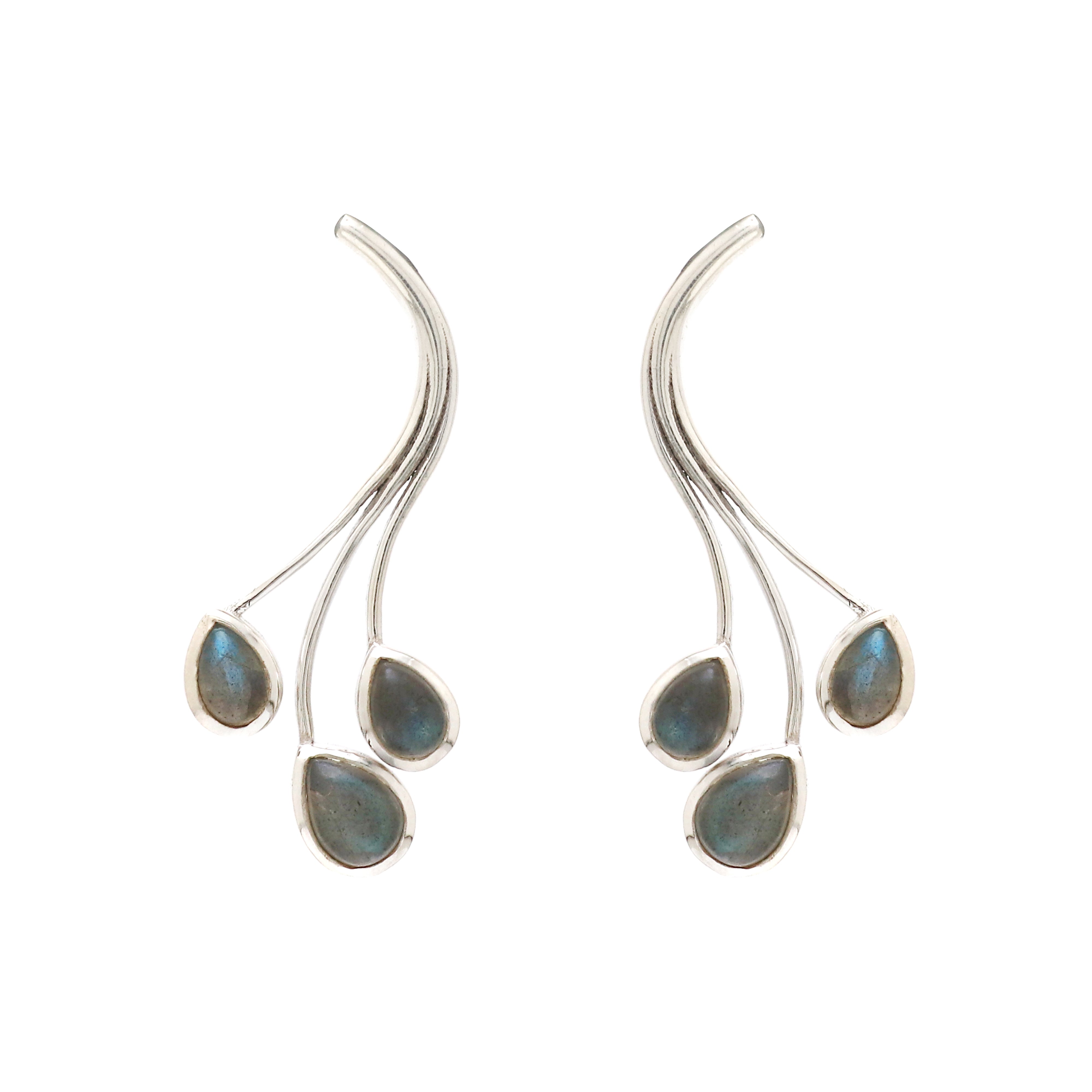 Elegant Earring
