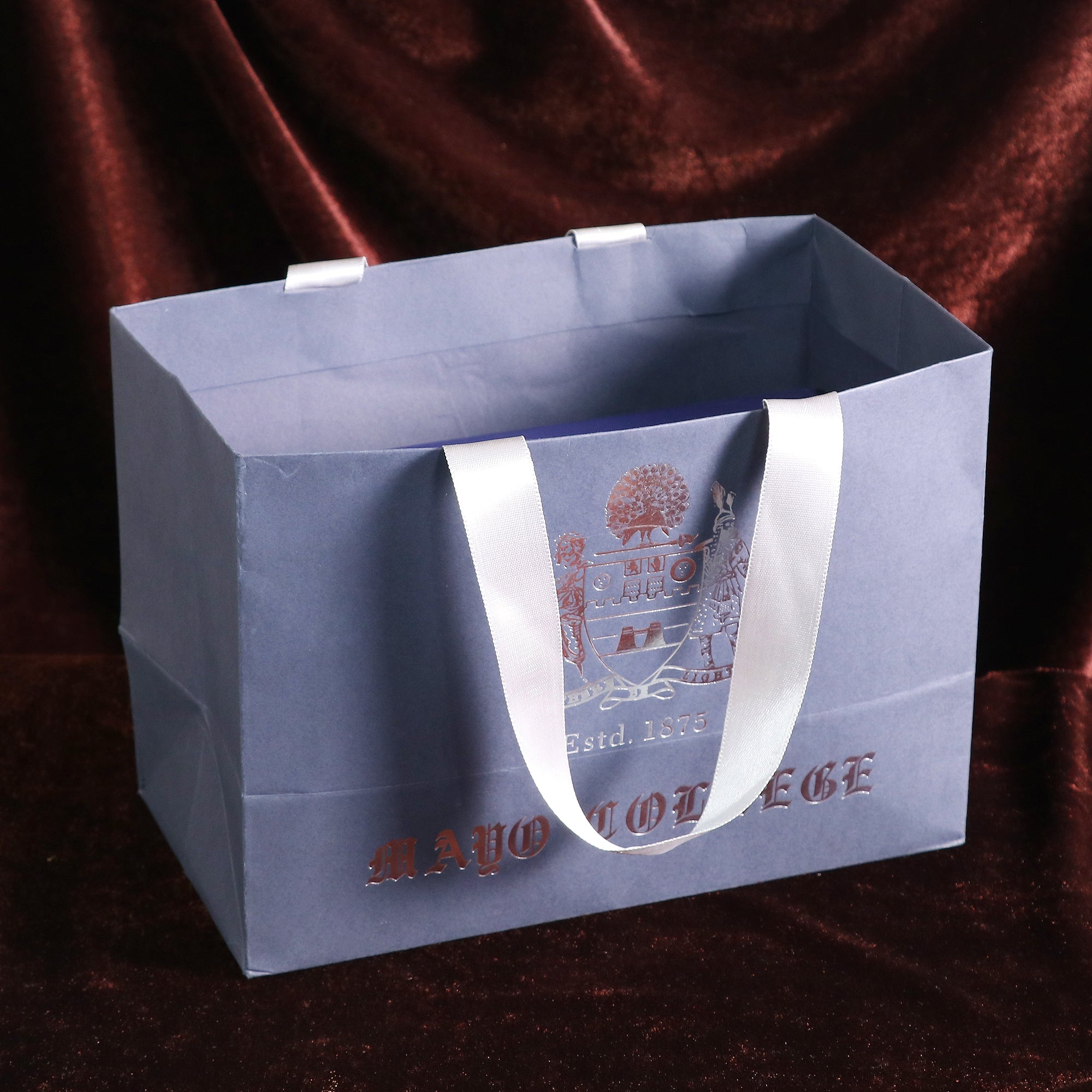 Mayo Signature 10gm Coin