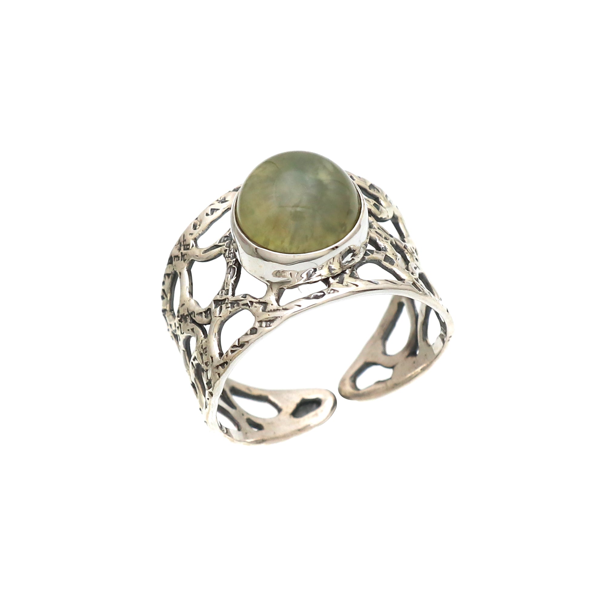 Precious Silver Ring
