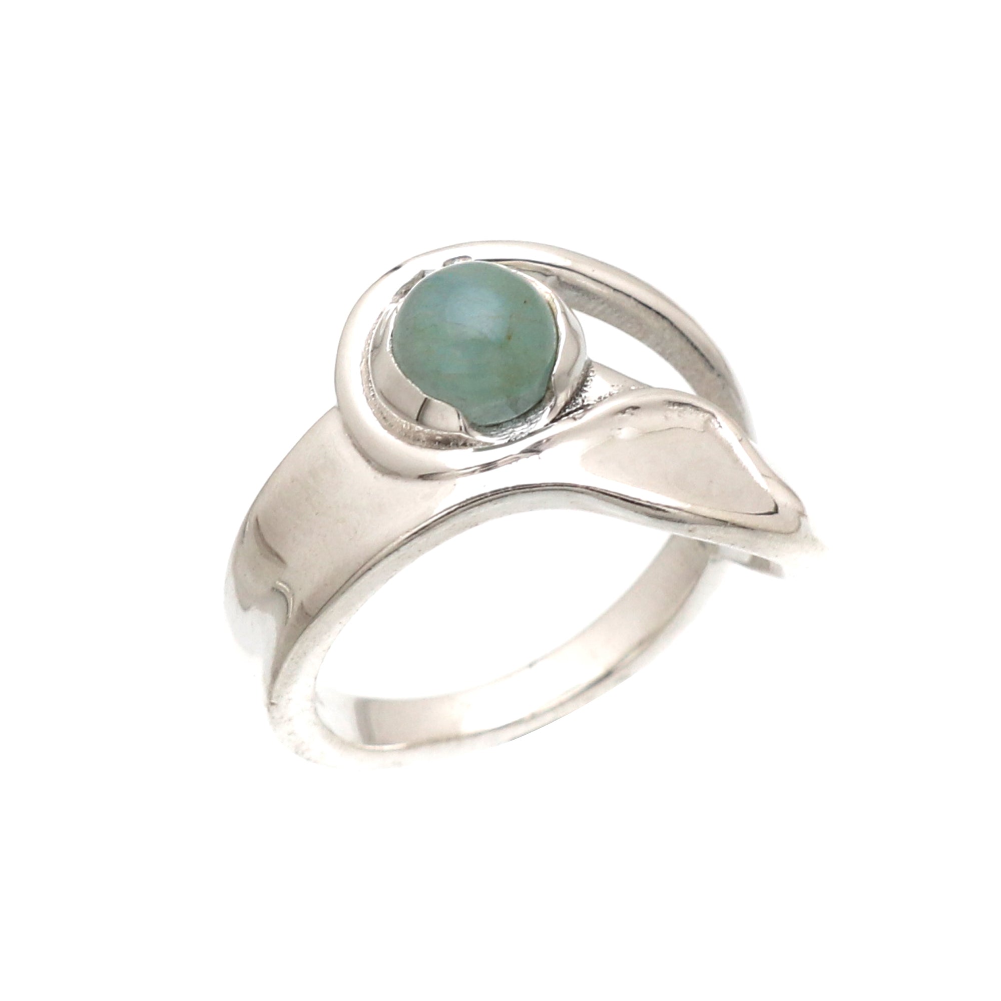 Precious Silver Ring